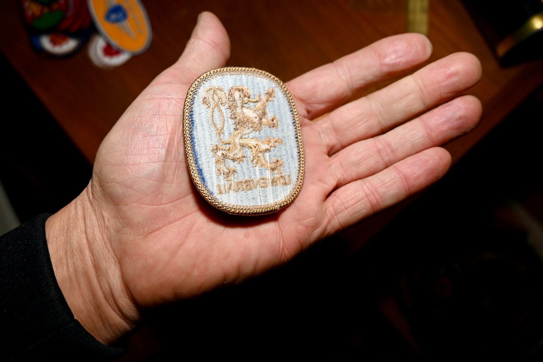 Placchette & Badge: BADGE Vintage LÖWENBRÄU Bier – Usato da Pfaffhausen venduto da mono_rec 2