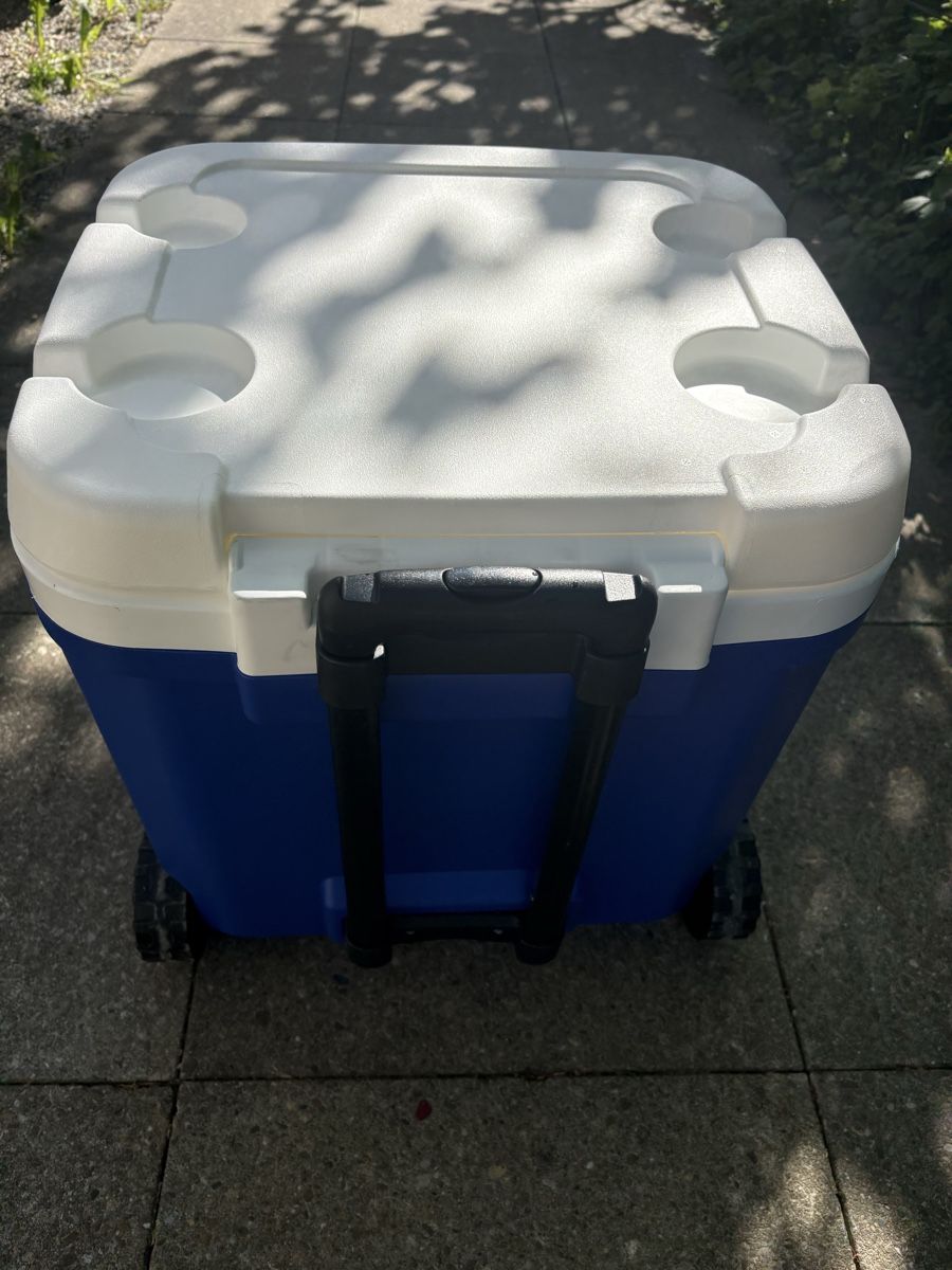 Frigoriferi & Refrigeratori: Igloo Kühlbox Laguna, 56 Liter - TOP – Nuovo (secondo la descrizione) da winterthur venduto da Romabier1 4