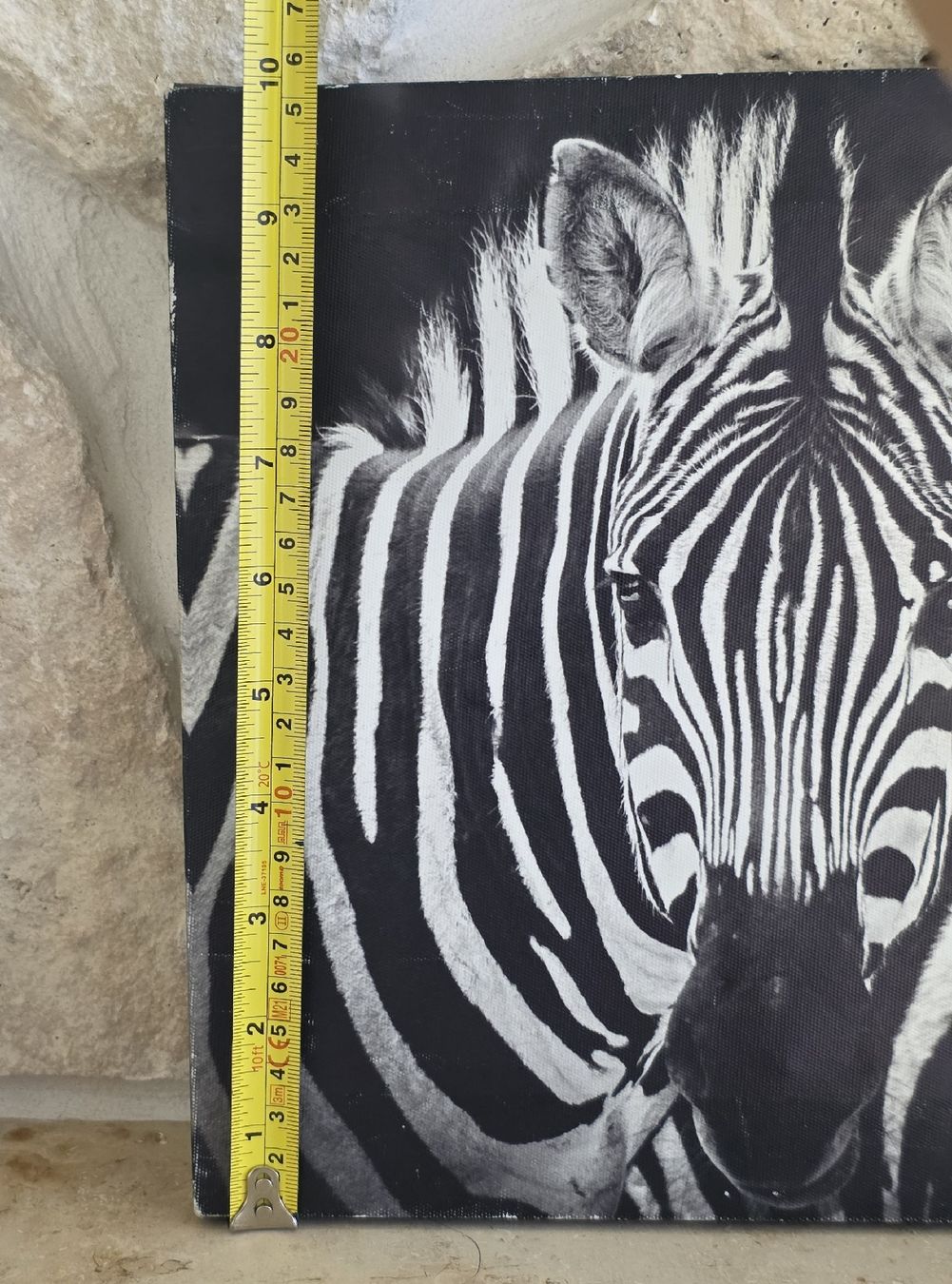 Foto & Immagini: Zebra Bild Leinwand schwarz weiss  – Usato da Rheinsulz venduto da Gilea 3