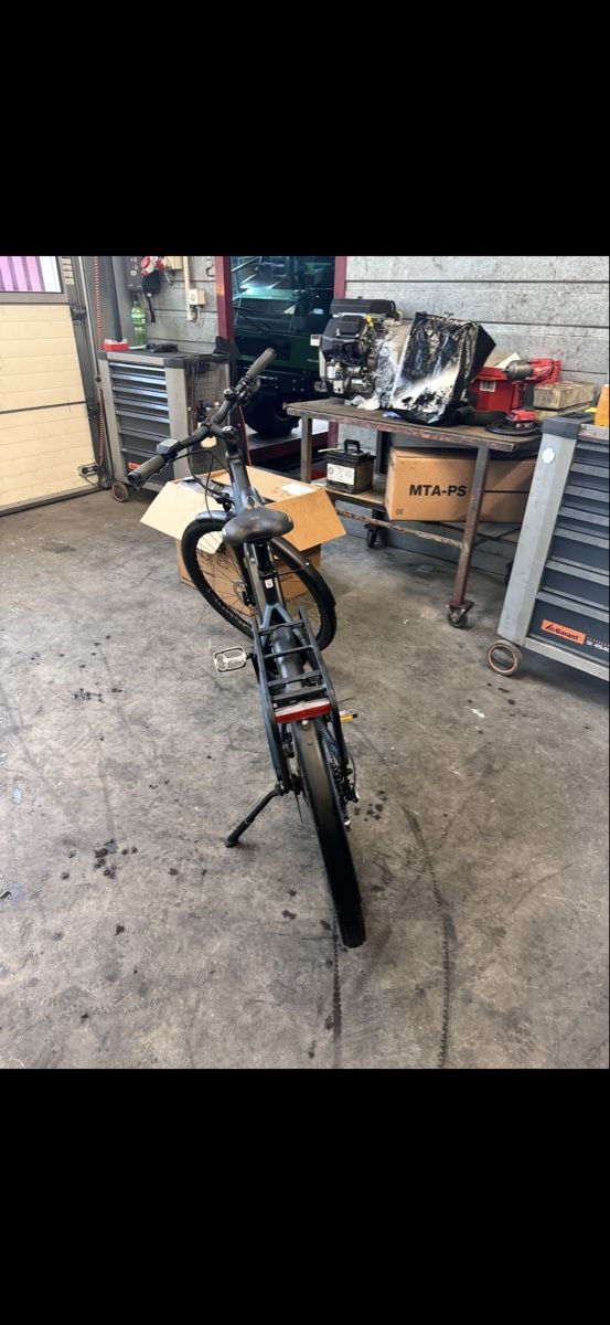 Bosch Biciclette: E-bike – Usato da Oberterzen venduto da Gegr.