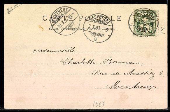 Cartoline postali: AK Neuveville, le Chateau – Usato da Berlin venduto da bartko-reher 1