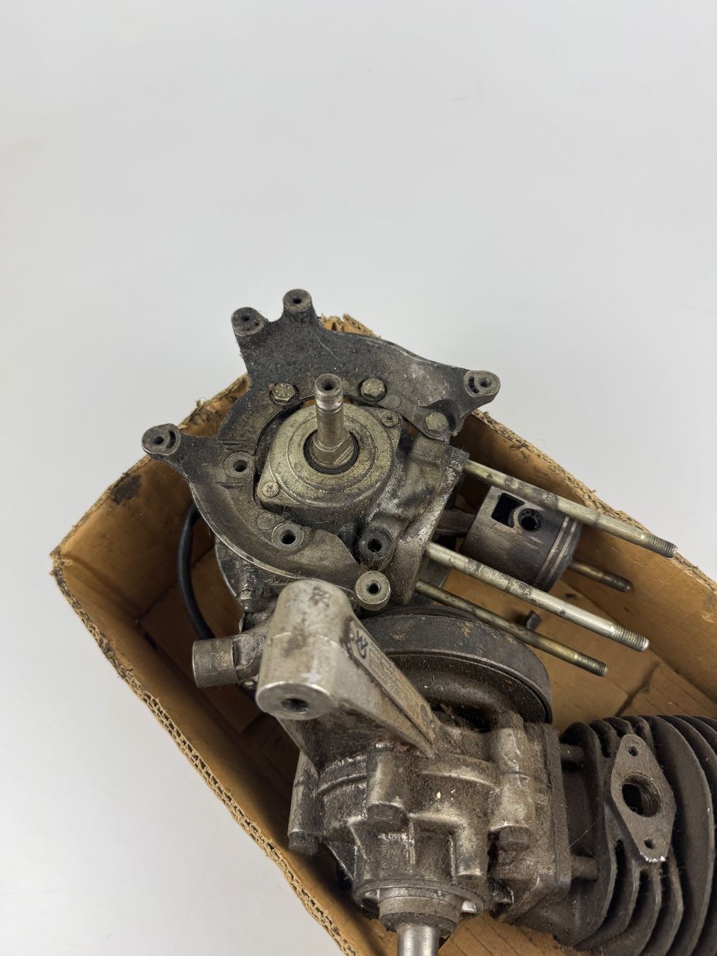 Mofas: Mofa Motoren Occ – Gebraucht aus Hallau von mofaplus 2