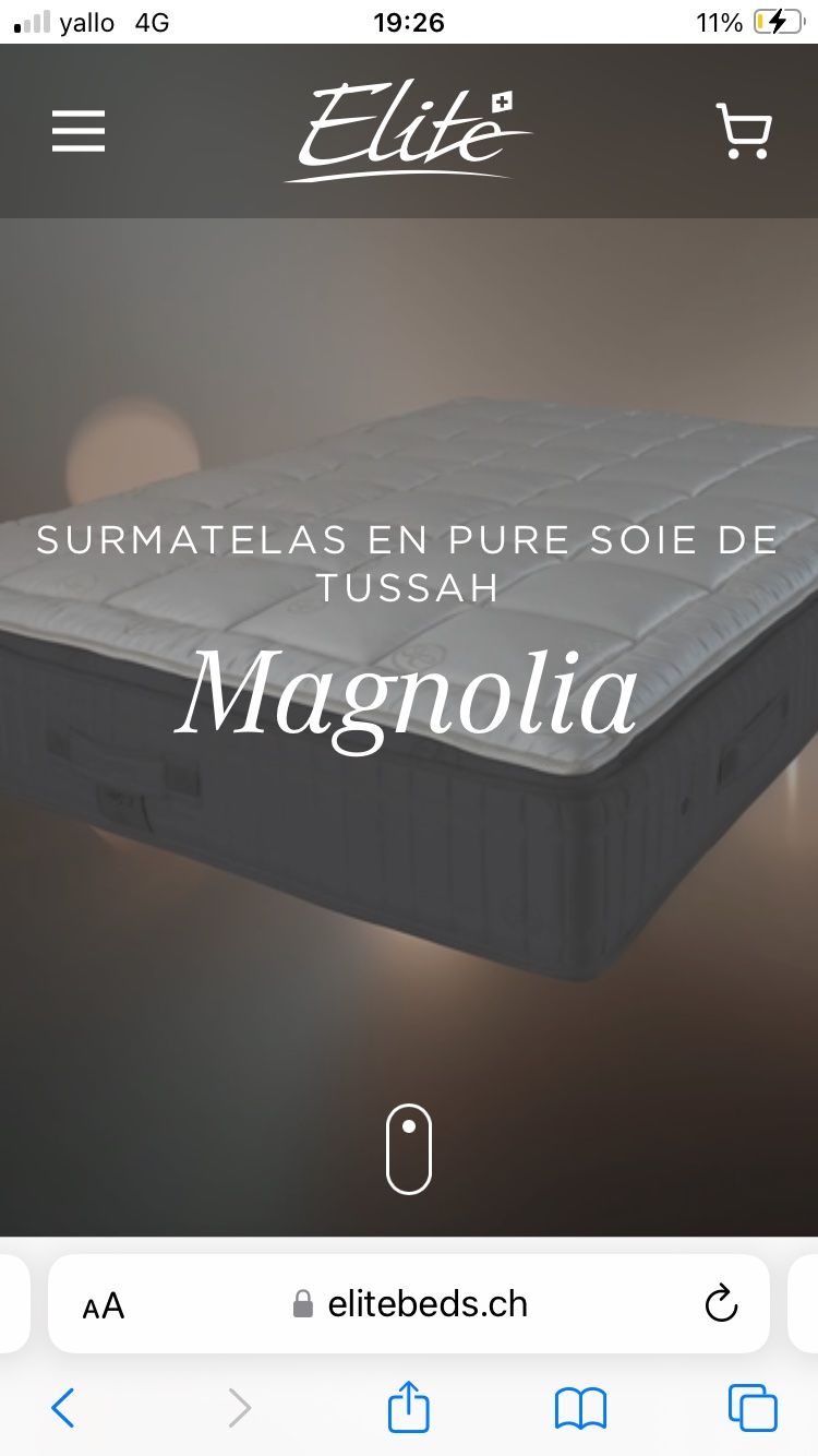 Materassi: Matelas de luxe de marque Élite – Usato da Carouge GE venduto da aud_xbm6 7