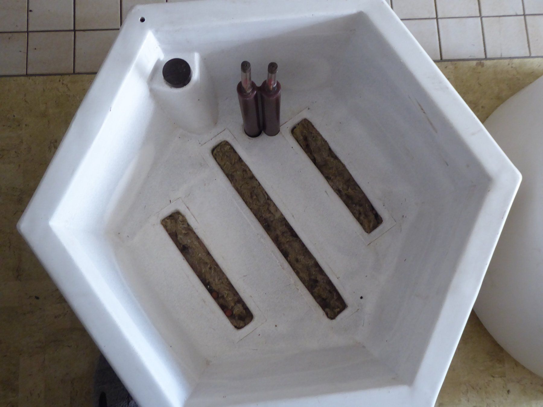 Vasi per fiori: Hydroponik Pflanztöpfe gross – Usato da Ennetbühl venduto da VPHS 3