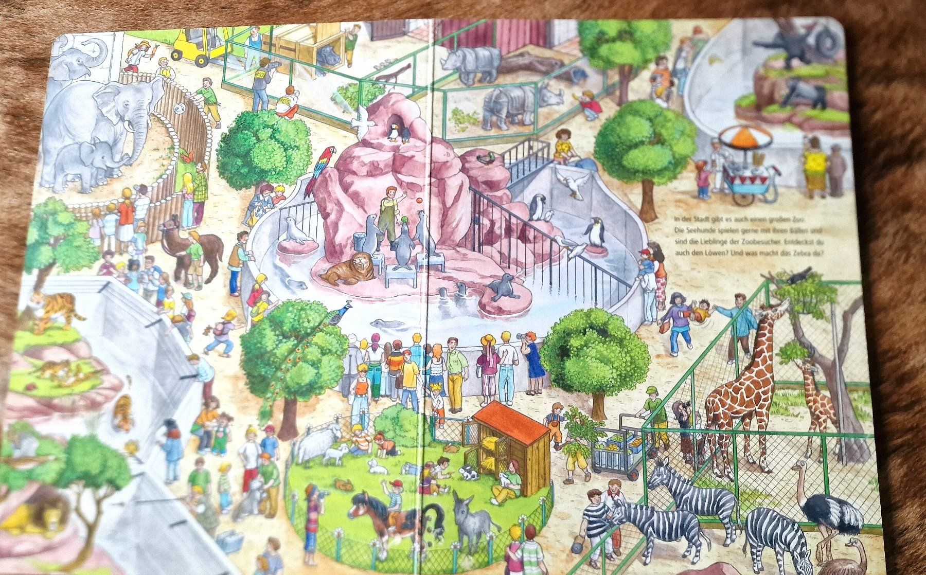 Libri: Kinder Wimmelbuchsammlung 4 Stück – Usato da Hombrechtikon venduto da MalgorzataJ 3