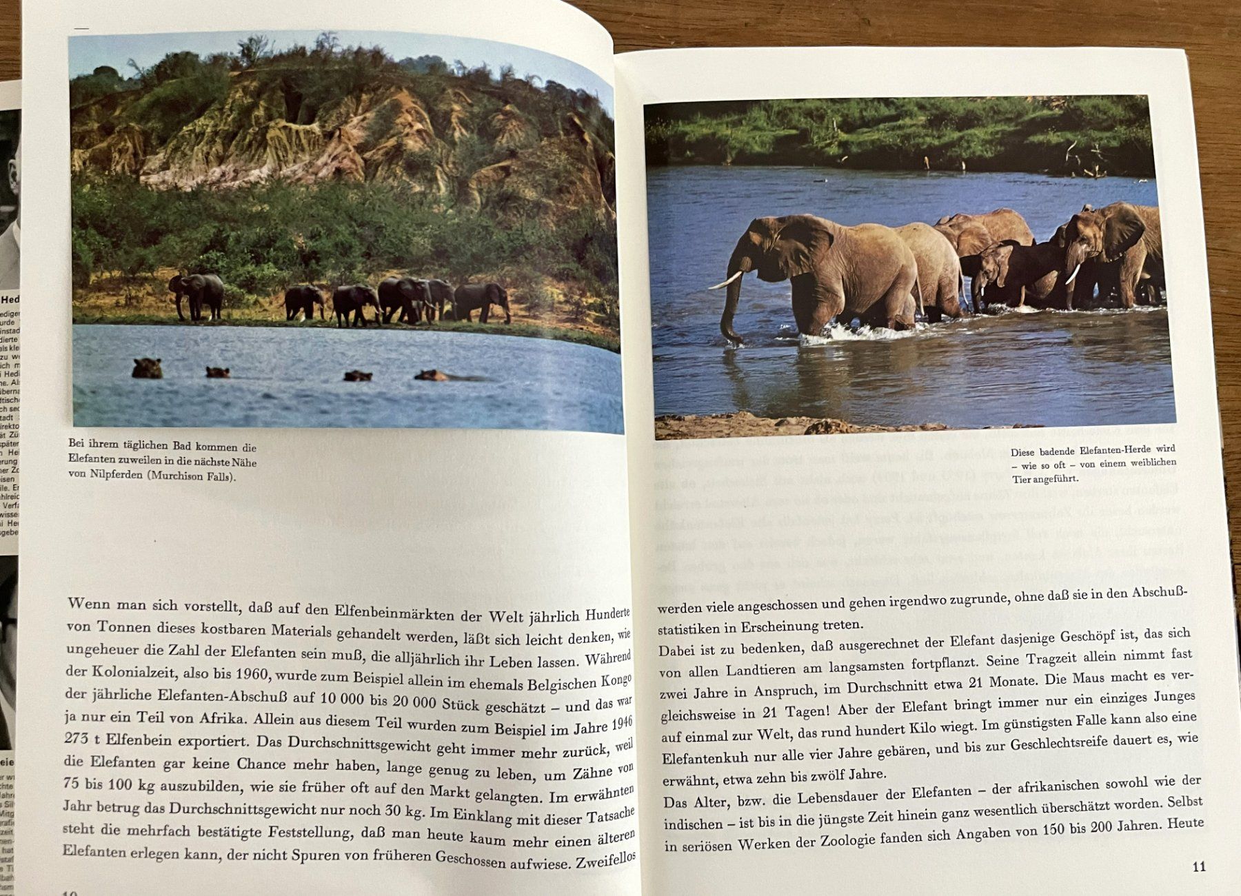 Bücher: Silva Verlag, Zoo Ostafrika, 1966 – Gebraucht aus Oftringen von Vucki 5