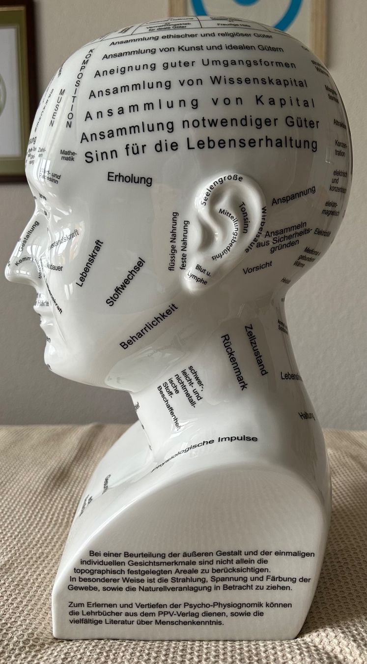 Sculture & Statue: Exklusiver Studienkopf der Psycho-Physiognomik nach C.Hutter – Nuovo e nell'imballaggio originale da Urtenen-Schönbühl venduto da framu07 1