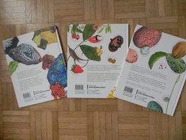 Kinderbücher über Natur 3 Stk Russisch