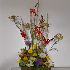 Profile image of Erfindungsrei.ch