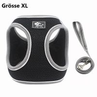 Hundebrustgeschirr Soft Mesh mit Leine - Grösse XL / Schwarz