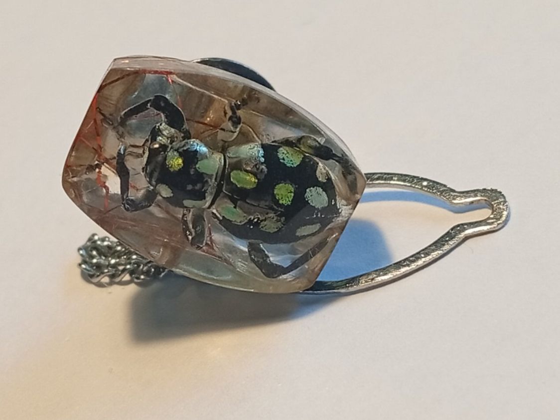 Placchette & Badge: Vintage Ansteck Pin mit Insekt – Usato da Baden venduto da TellsKuchenhaus 1