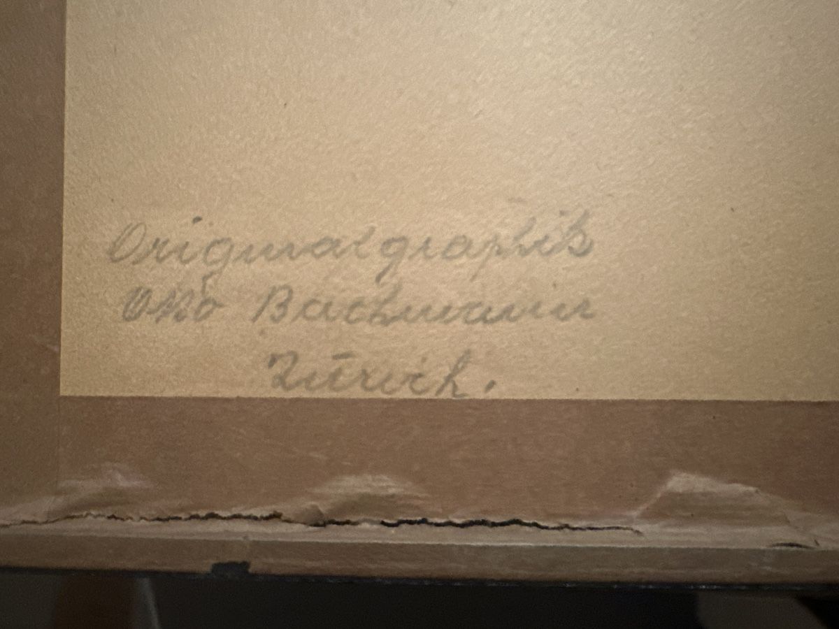 Dipinti: Gemälde Otto Bachmann gerahmt<br> – Usato da Frauenfeld venduto da aluma14 4
