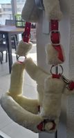 Pferdehalfter mit Lammfellbesatz Grösse COB