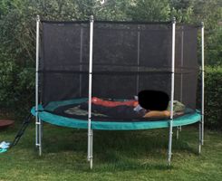 Berg Trampolin Favorit, 330cm