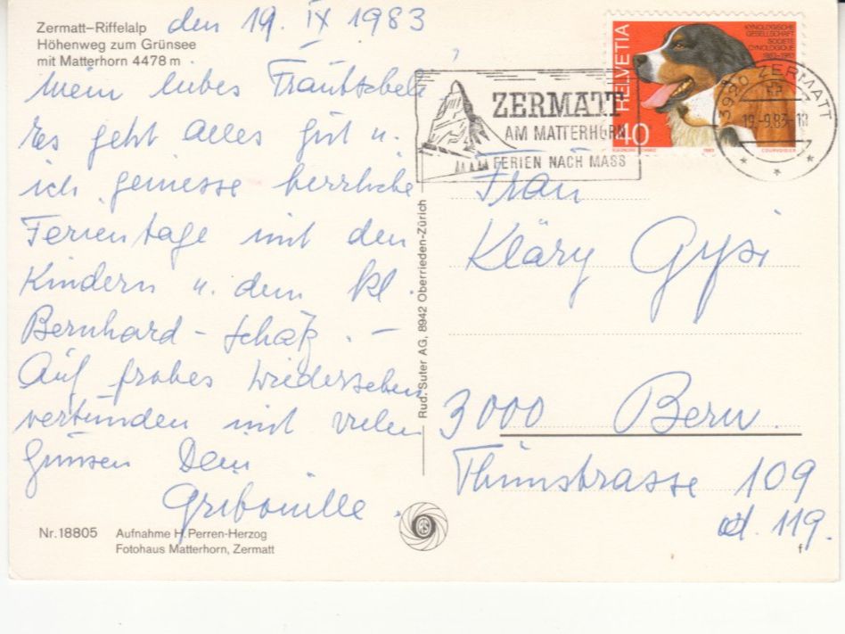 Cartoline postali: Riffelalp 1983 – Usato da Bürglen TG venduto da StampGraf 1