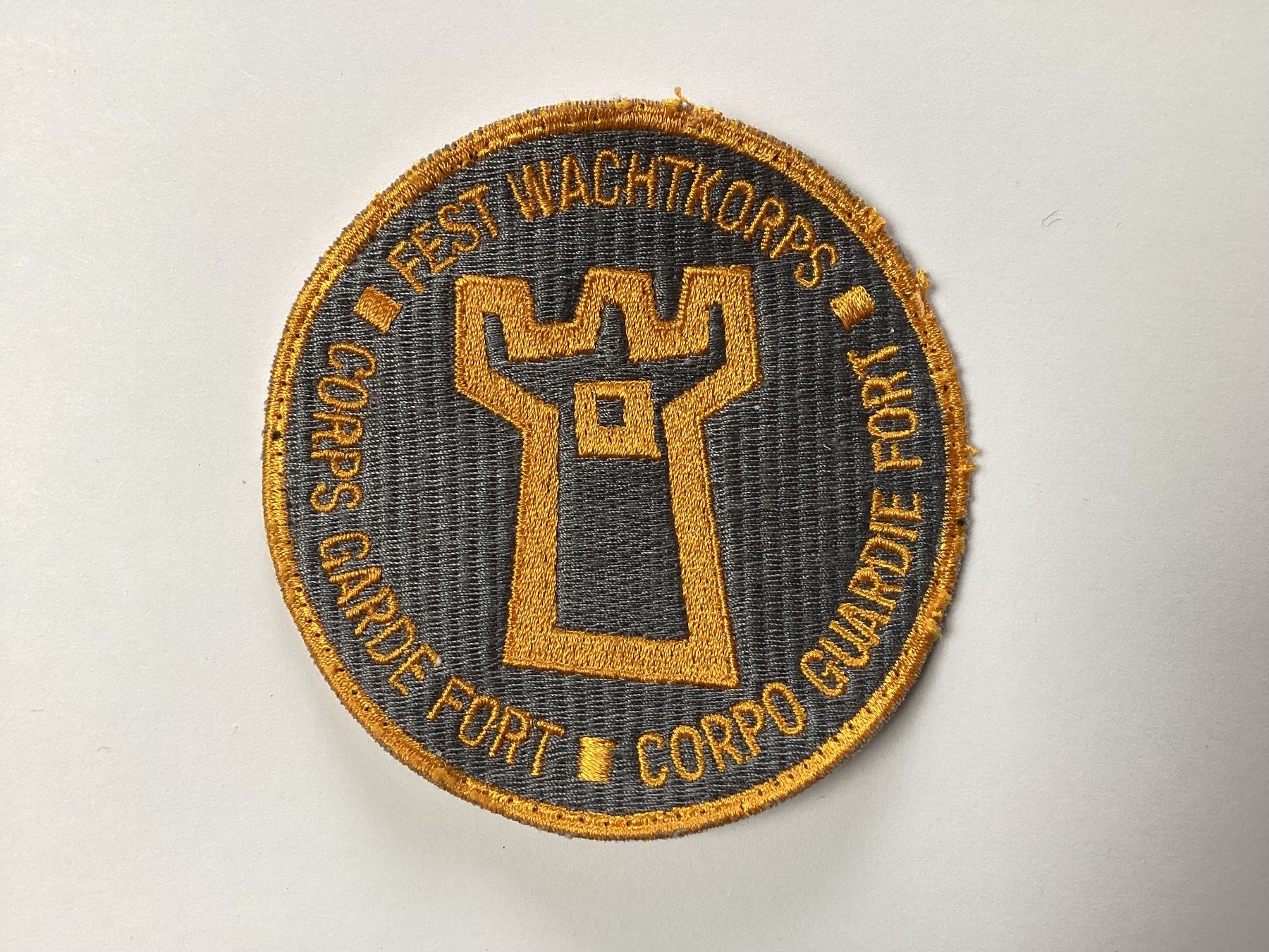 Schweizer Armee Plaketten & Abzeichen: Badges – Gebraucht aus niederurnen von Hagugelmann