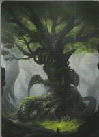 TCG Magic The Gathering MTG BRO ARTWORKS 53 Wald