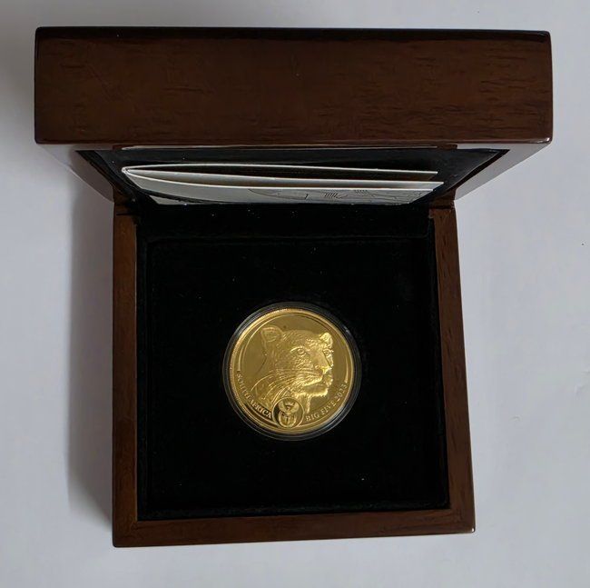 Tutti le monete: 1 oz Big Five Gold Leopard 2023 – Usato da Caslano venduto da Pspidi