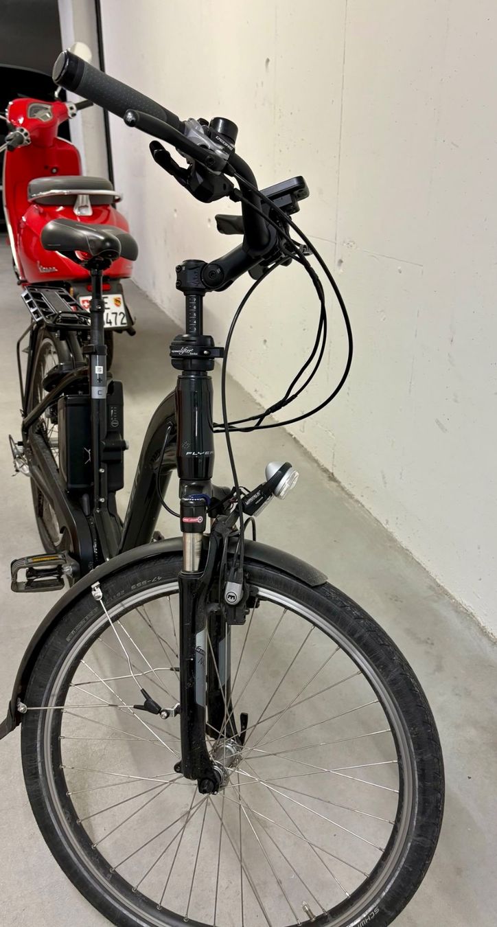 Flyer Biciclette: E-Bike FLYER schwarz Damenrad – Usato da Interlaken venduto da Master-Adi76 2