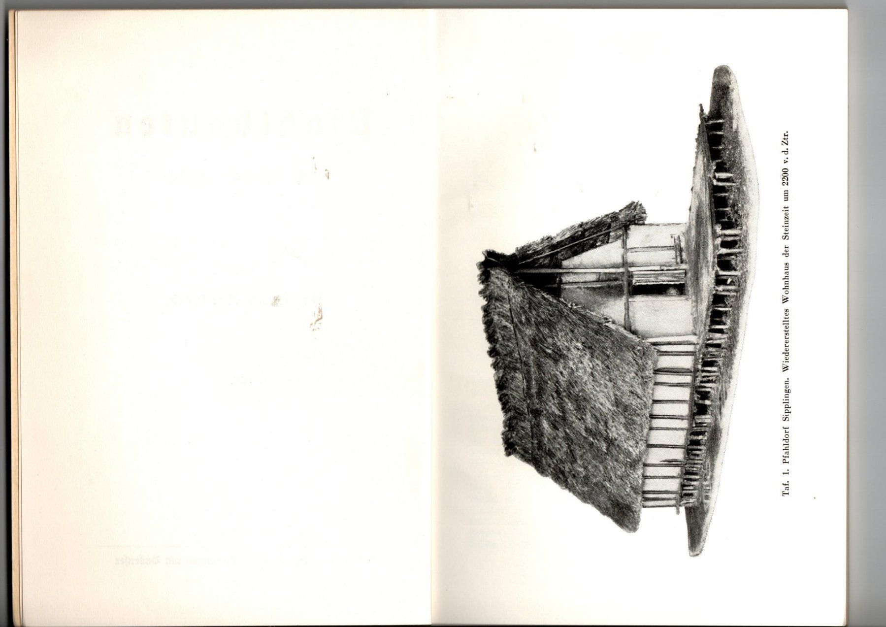 Libri: Reinerth Hans - Pfahlbauten am Bodensee – Usato da Schaffhausen venduto da buecherlaus-antik 1