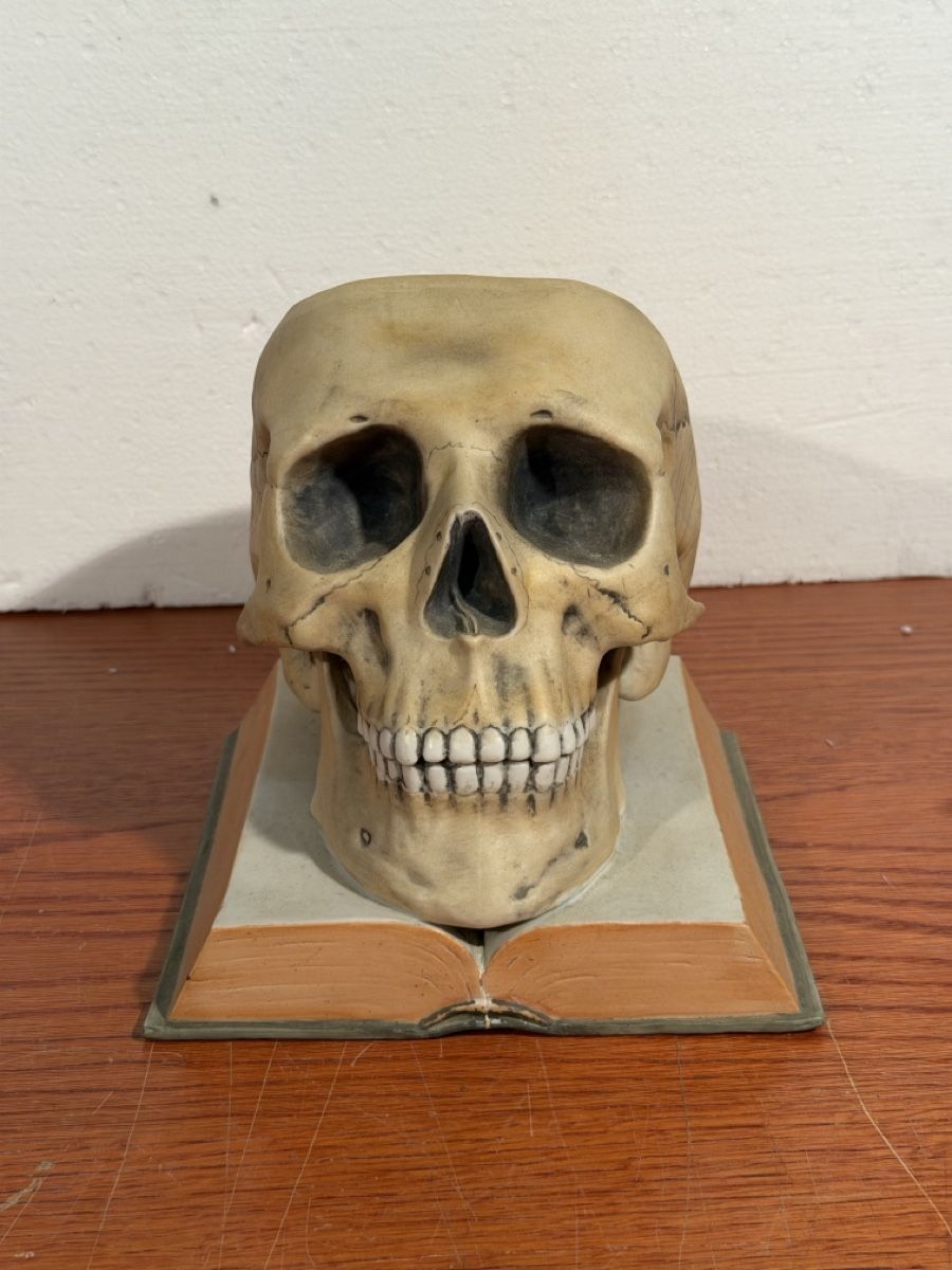 Tutte le decorazioni: Skull Decor ceramic Bookends Realistic Human Skull Model – Usato da Lausanne venduto da vas_mbk2