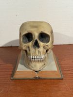 Skull Decor ceramic Bookends Realistic Human Skull Model