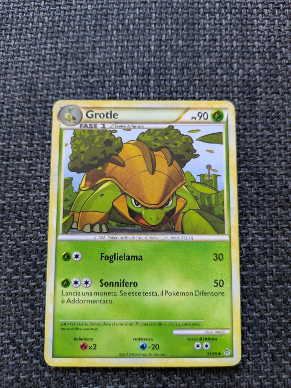 Pokémon Carte collezionabili: GROTLE, UNLEASHED, UL31, UNC, 2010, ITA, LP – Usato da Losone venduto da AlpineLayer