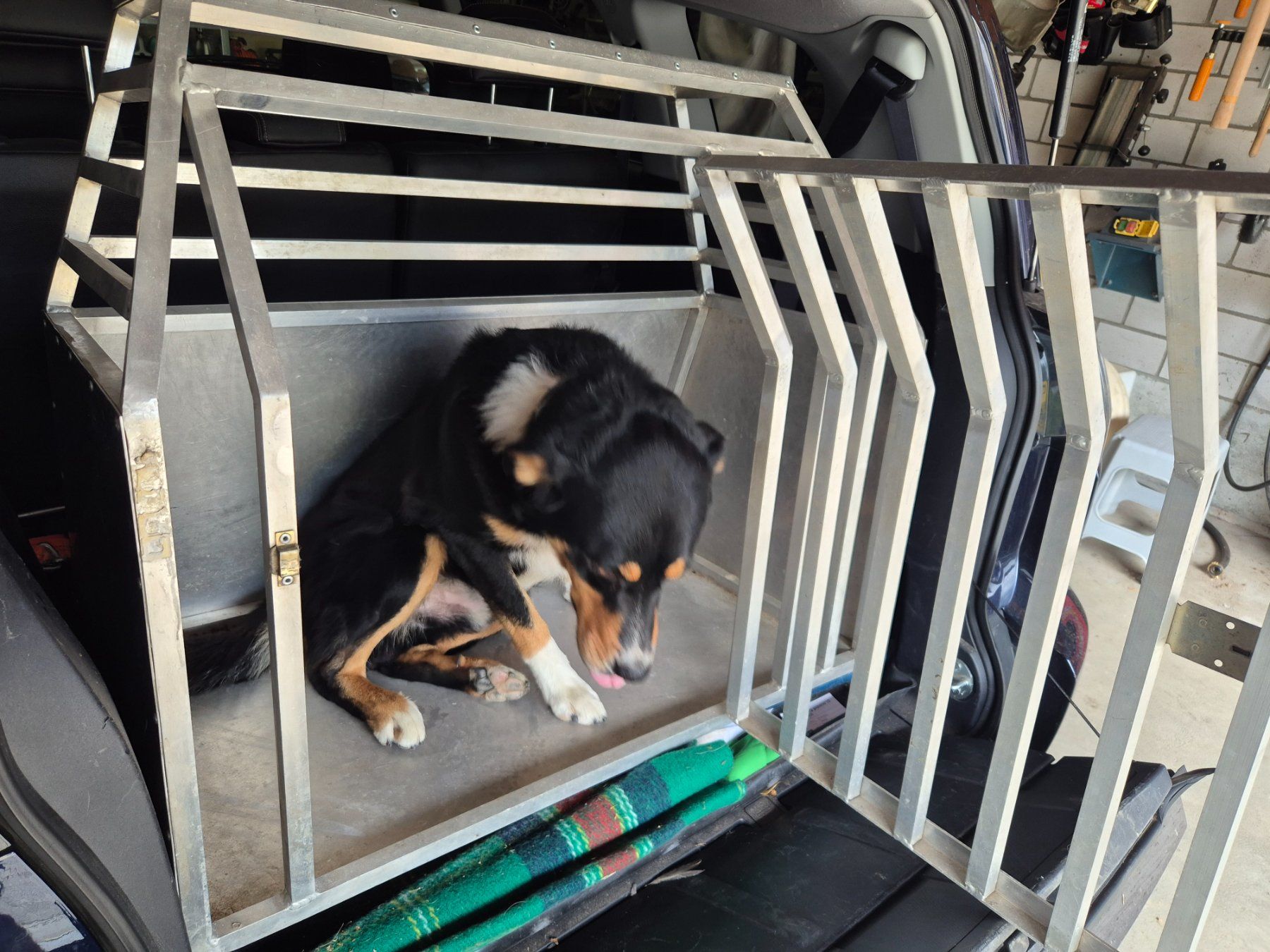 Cucce & Letti: Hundebox – Usato da Stein AR venduto da Bienli4 6