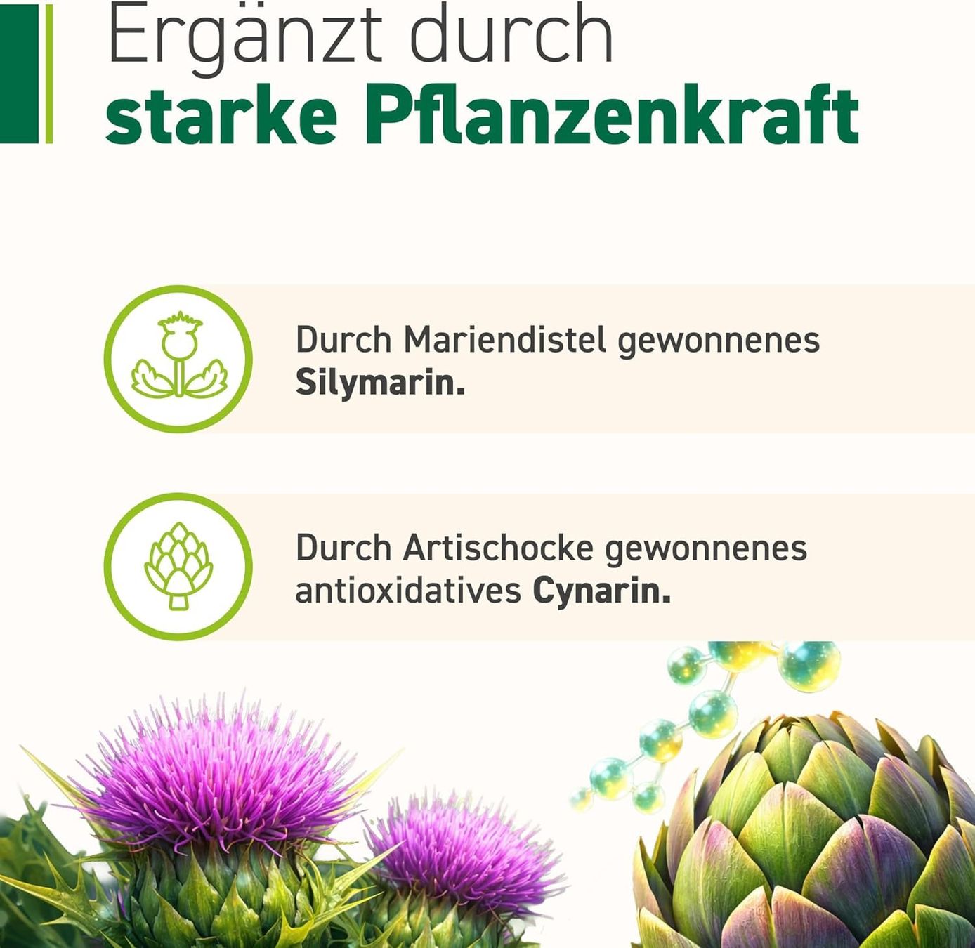 Cibi & Specialità: Omniflora Hepar Complex 30 Sachets Cholin Probiotika – Nuovo e nell'imballaggio originale da Suhr venduto da SchnapperCH 4
