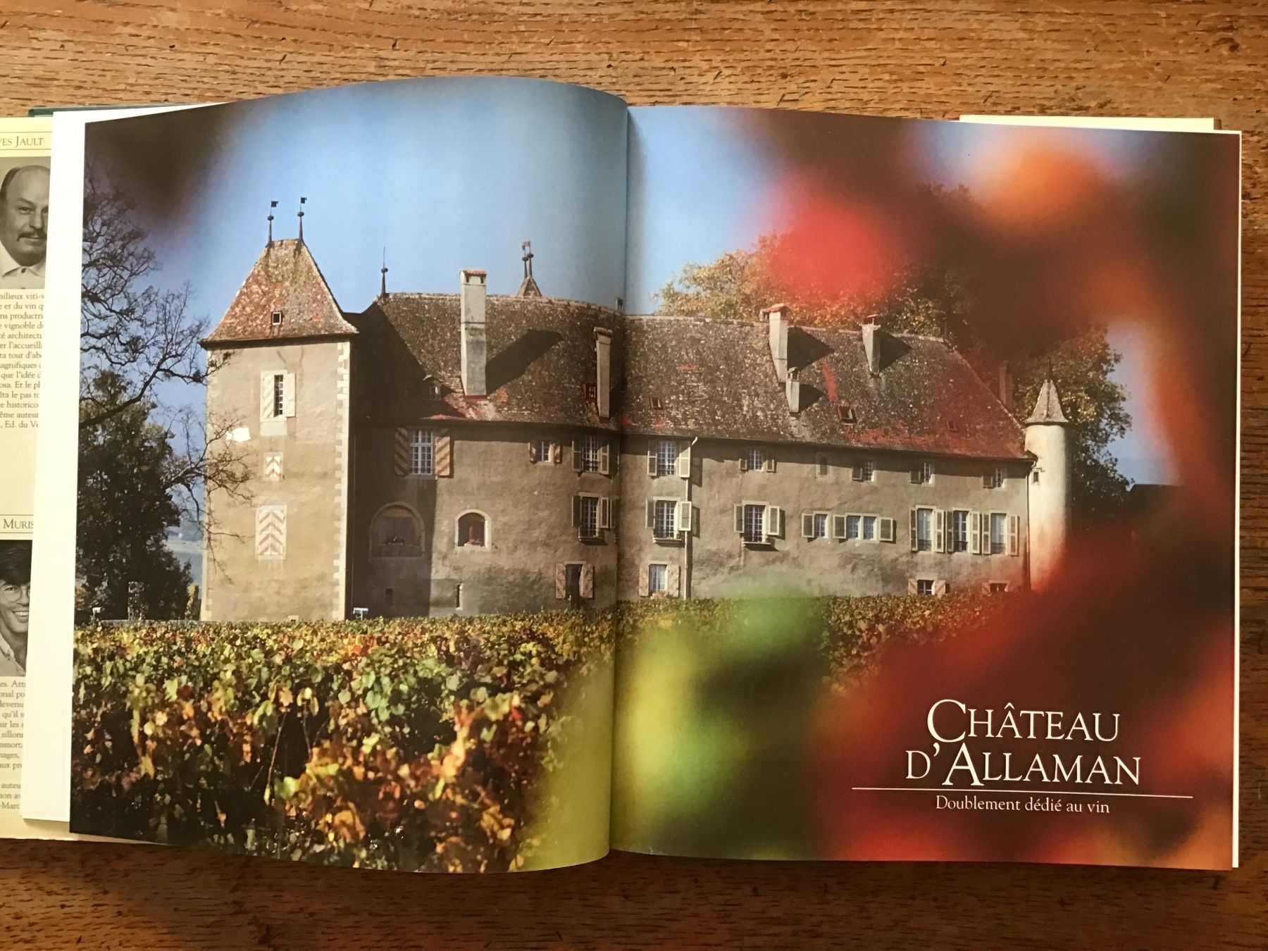 Libri: Les châteaux viticoles du Pays de Vaud – Usato da Fully venduto da Ruby97 2