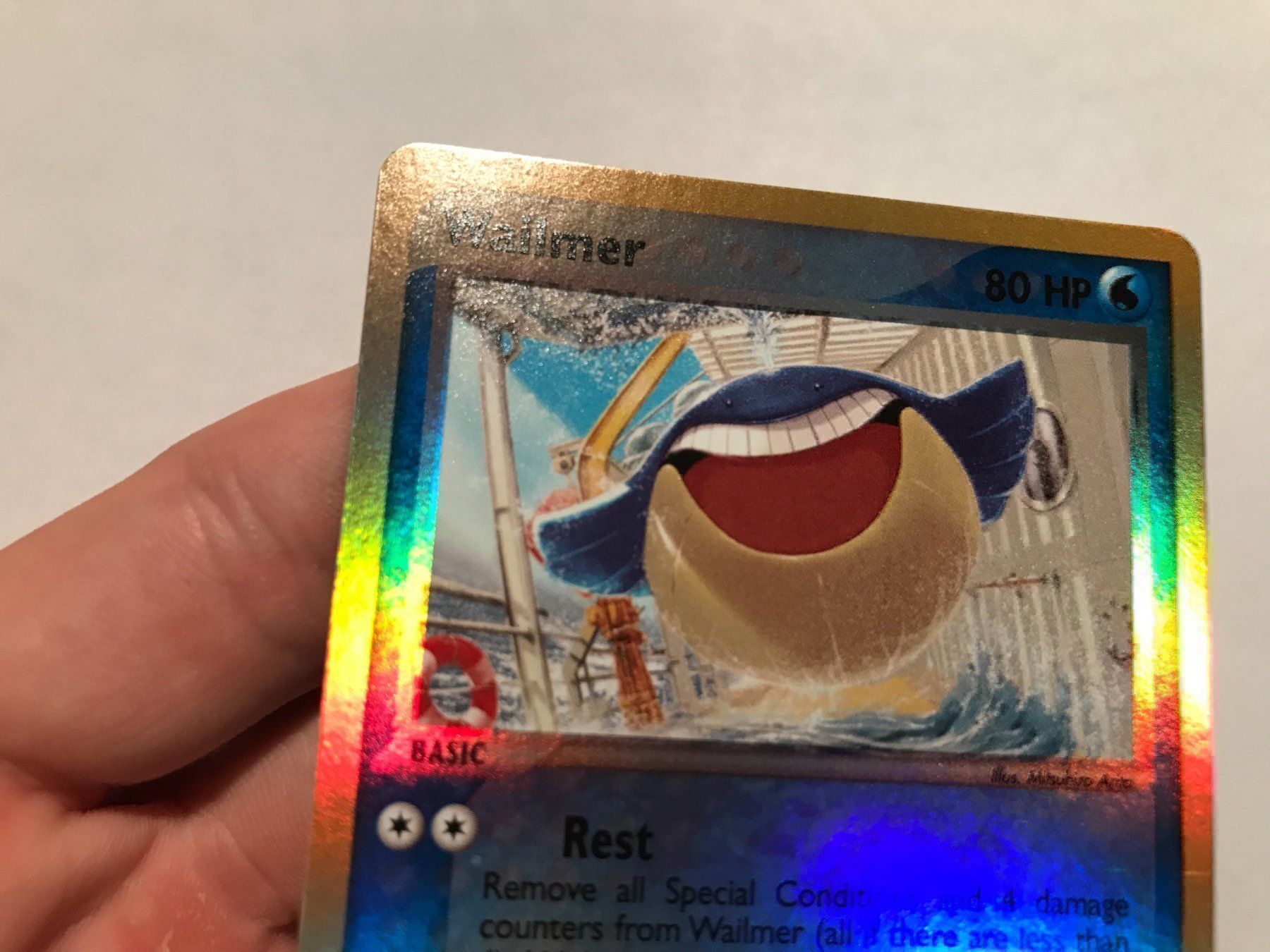 Pokémon Carte collezionabili: Wailmer reverse holo Ex Ruby & Saphire – Nuovo (secondo la descrizione) da Hagendorn venduto da Pokecollectorch 2