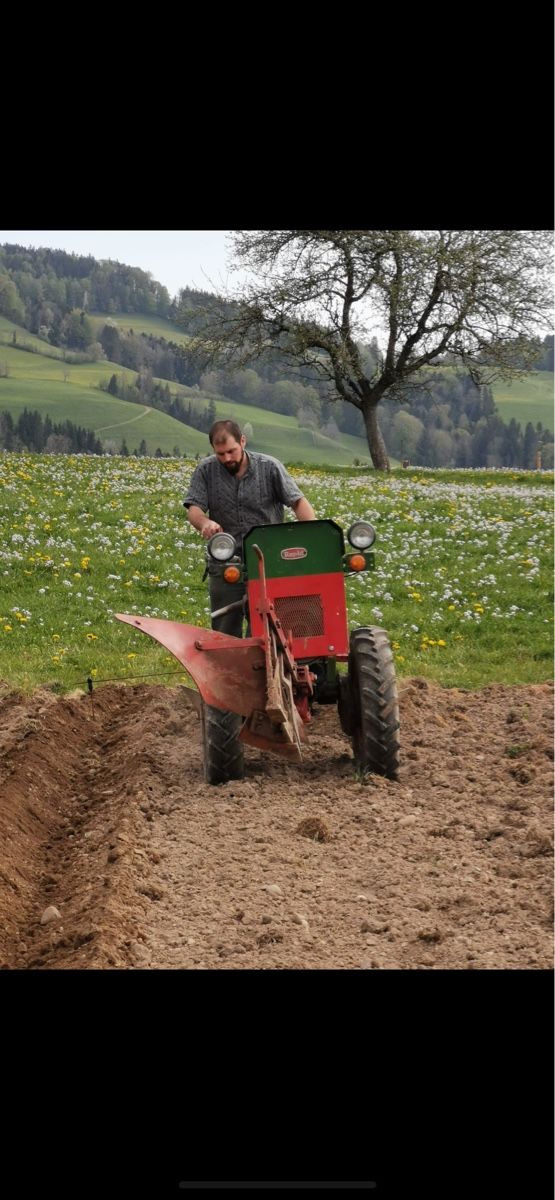 Rapid Trattori: Rapid Spezial Disel Slanzi – Usato da Mühlrüti venduto da UrsG89 4