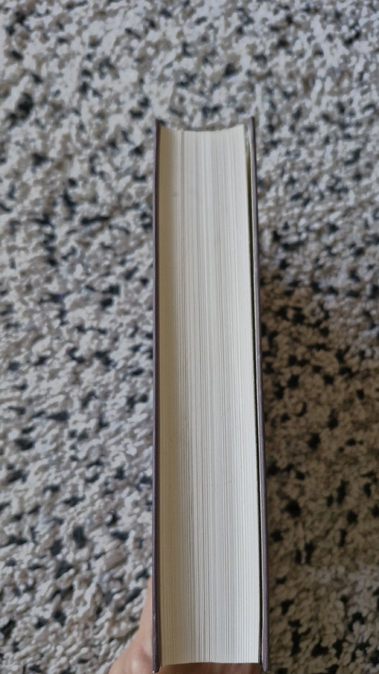 Libri: Sofies Welt von Jostein Gaarder Top Zustand – Nuovo (secondo la descrizione) da Basel venduto da Andrealin 2