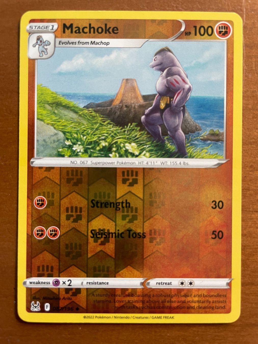 Pokémon Carte collezionabili: Pokemon Machoke Reverse (Versand gratis) – Nuovo (secondo la descrizione) da Chur venduto da Angerson