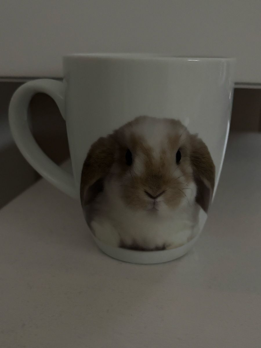 Migros Tazze: Tazza coniglio – Nuovo (secondo la descrizione) da Losone venduto da Tilly-nb7t 2