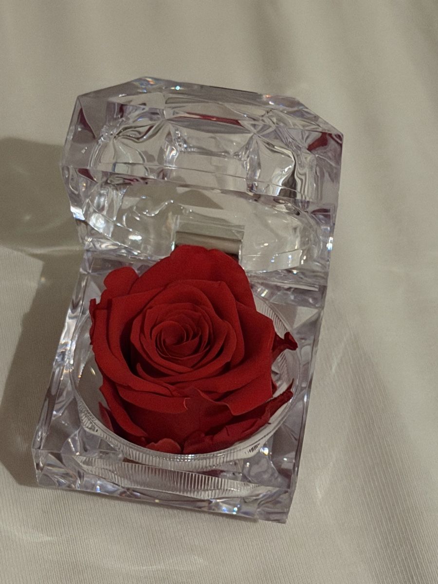 Tutte le decorazioni: Infinity Rose  – Nuovo e nell'imballaggio originale da Tennwil venduto da Zaylaaa