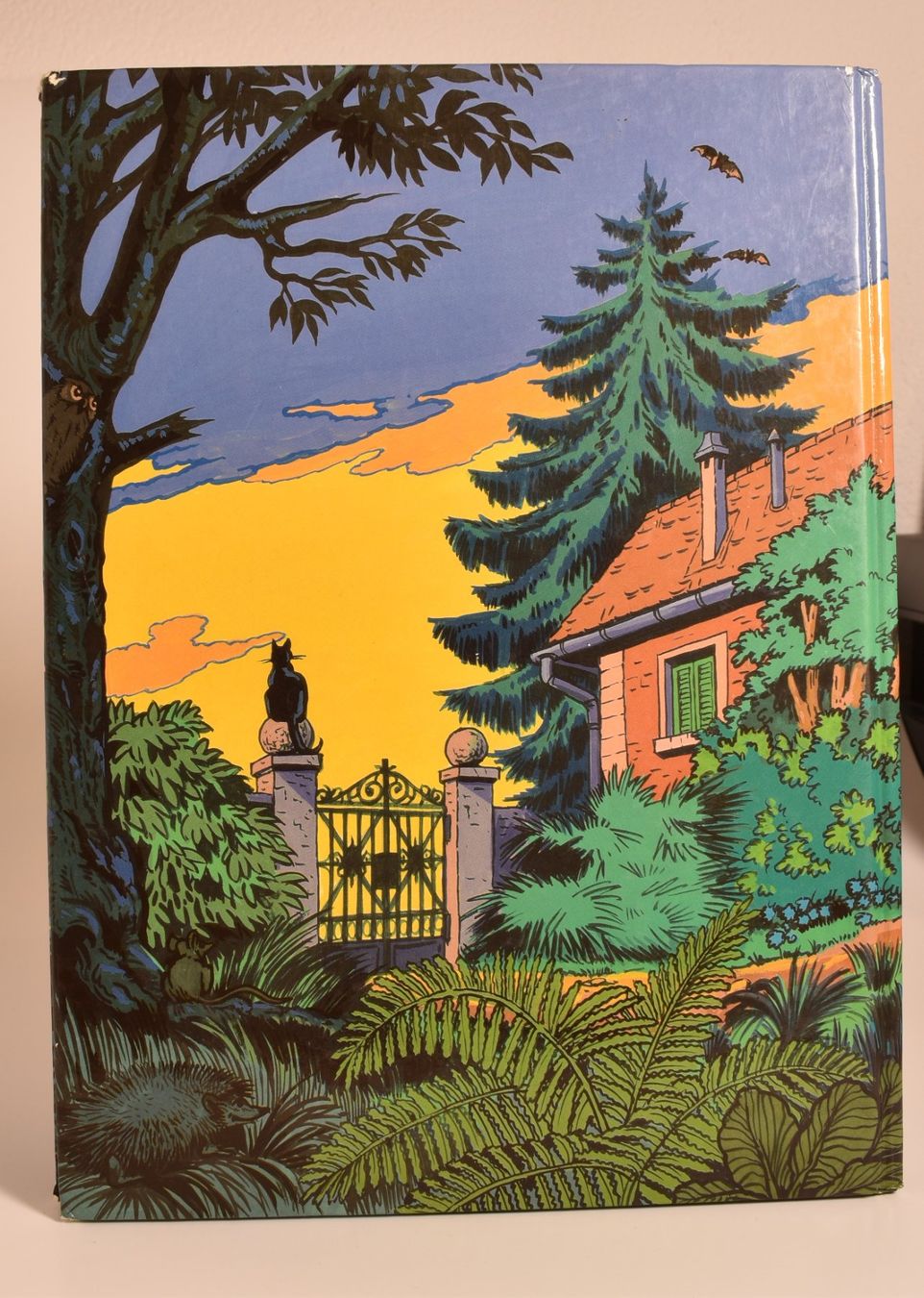 Comics: Ringgi + Zofi (2 Bücher) – Gebraucht aus Azmoos von greenstone13 2