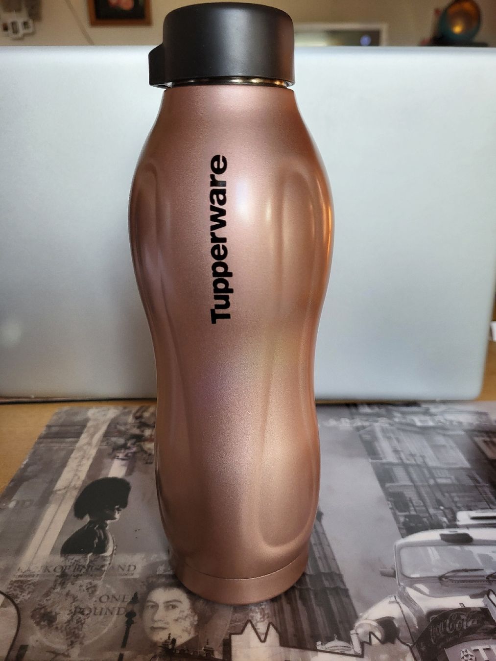 Tupperware Gourdes & Thermos: Tupper Isolierflasche 550 ml – Neuf avec emballage d'origine à Schweizersholz par fuchs06