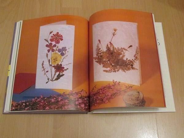 Libri: Glückwunschkarten – Usato da Neuchâtel venduto da Dualseele 8
