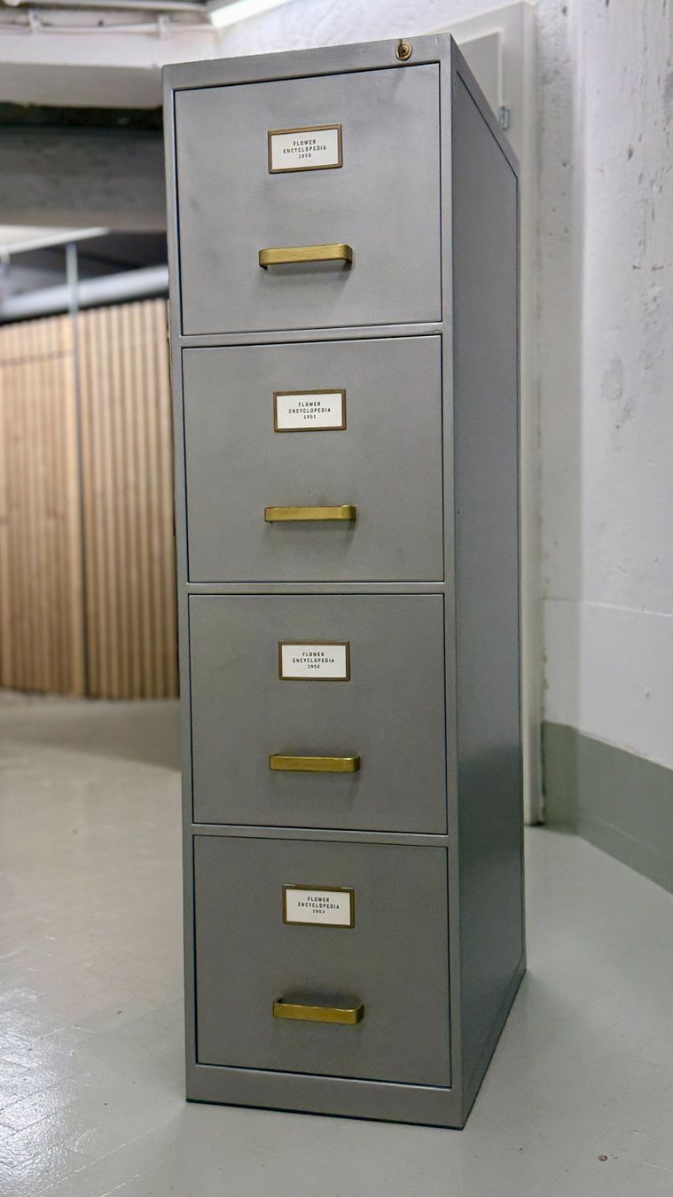 Armadi: Aktenschrank, Schubladenstock, Silber – Usato da St. Gallen venduto da Studio_Industrial 4