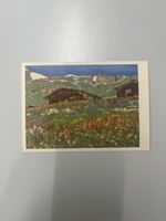 Postkarte Albert Nyfeler Pré fleuri Lötschental No. 16