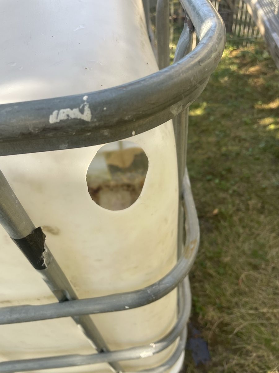 Tränken & Tröge: 1000 Liter Wassertank gebrauchter Zustand – Gebraucht aus Aegerten von grisli72 3