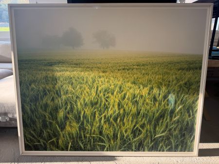 Oliver Wehrli Bild "Silence" Edition 1von5 Stück limitiert