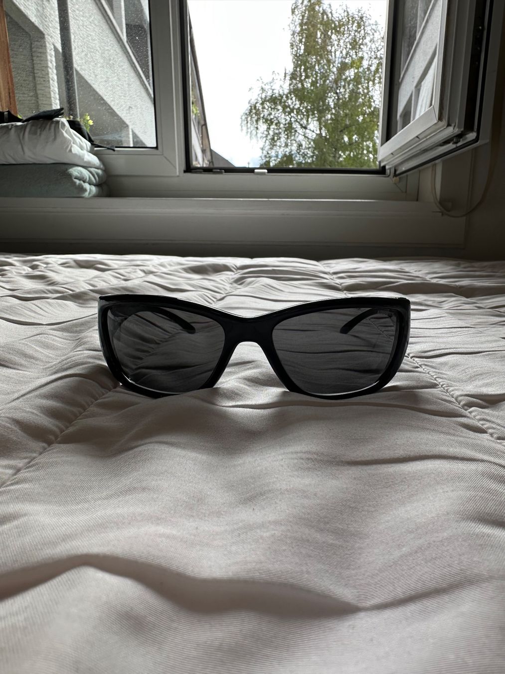 Brillen & Gläser: Arnette bubblewrap sunglasses – Neu (gemäss Beschreibung) aus Zürich von luc_spl8 3