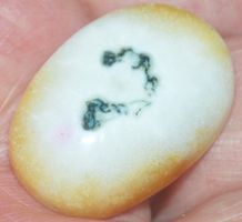 Cabochon L-549 – Weisser Solar Quarz Heilstein – ca. 27x19mm