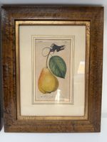 Vintage Fruit Painting in Wooden Frame