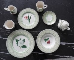 Royal Horticultural Society Tafelservice, Guter Zustand!
