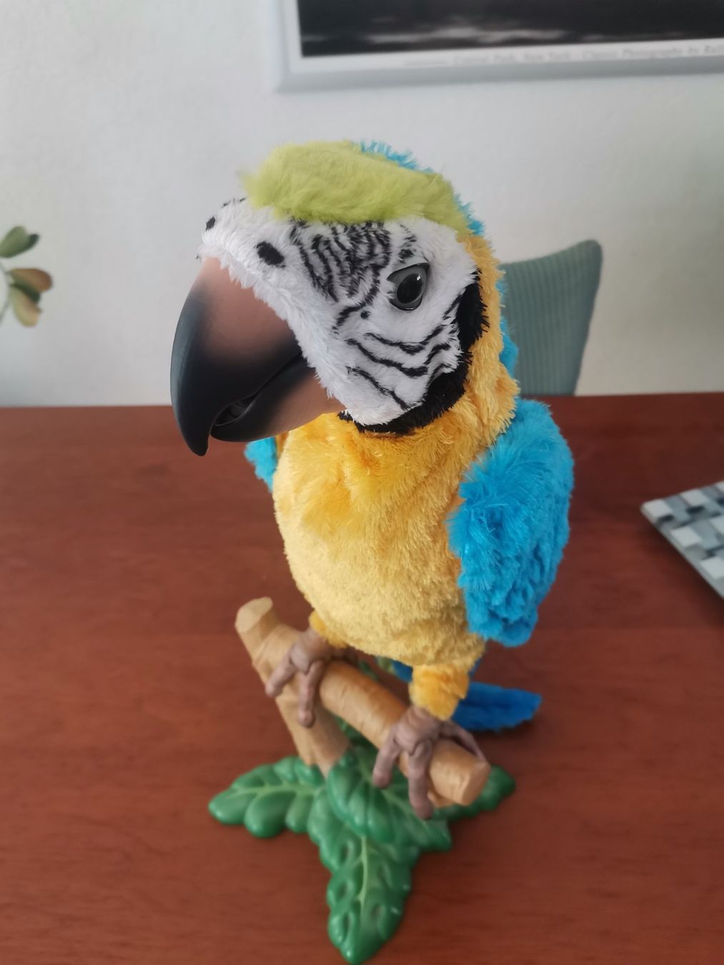Hasbro Giocattoli: Sprechender Papagei Top – Usato da Therwil venduto da JeannysTrendStyle