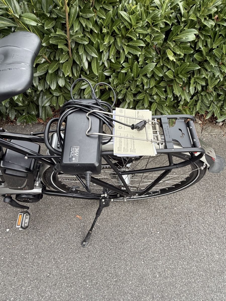 Biciclette: Elektrovelo Flyer Next Generation 45 km/h – Usato da Kägiswil venduto da rezha 6