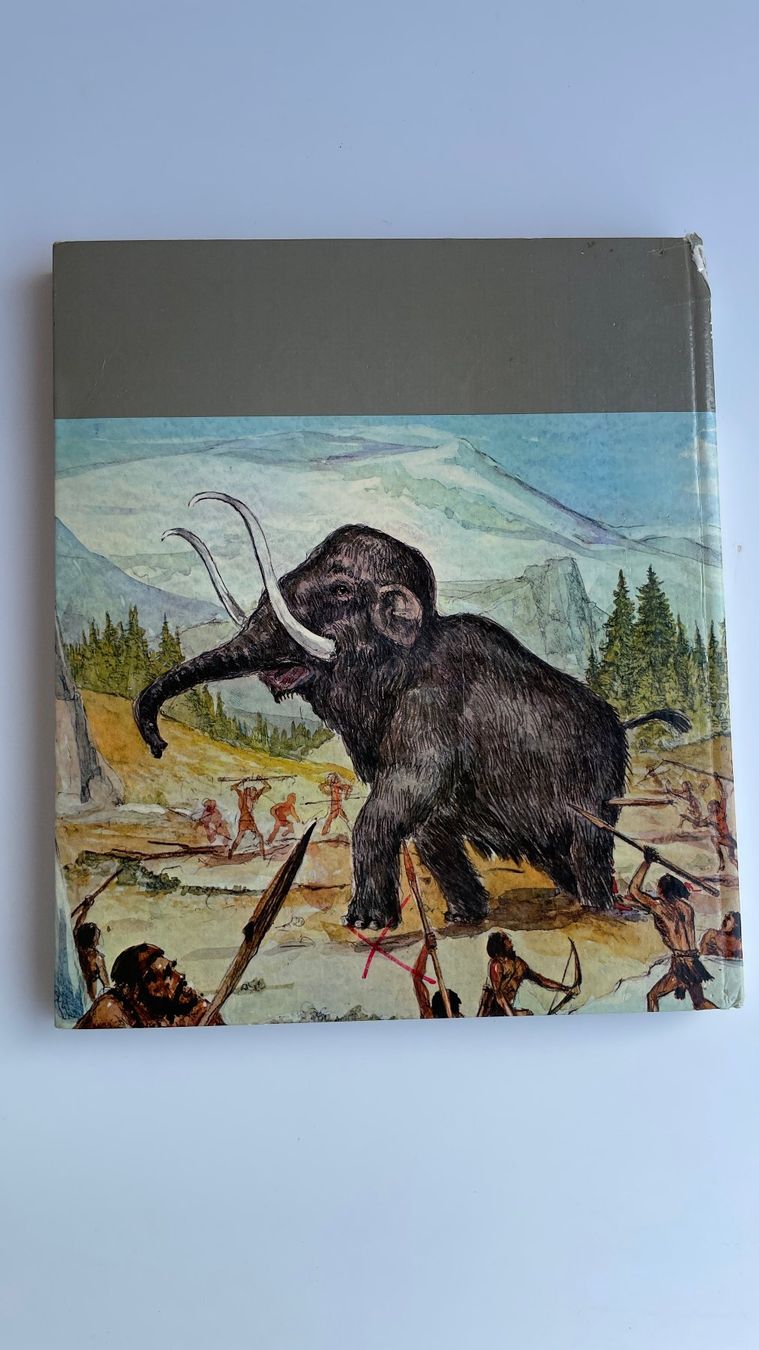 Bücher: Sternstunden der Erd- und Weltgeschichte - Gloria Buch – Gebraucht aus Glattfelden von cybermaxx 1